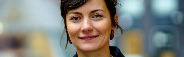 Зюлейха Ізмаілова: Партія реформ здійснює жертви у сфері кліматичної політики.