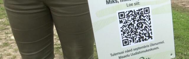 Maaelu uudishimukeskus pani mitmes paigas aluspüksid mulda