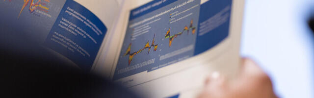 Eesti Panga majandusprognoos: elavnemine tuleb suurema riigivõla hinnaga