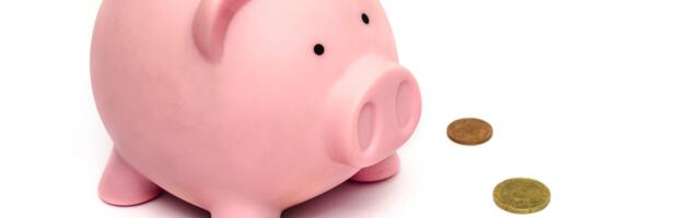 Üksi elavad pensionärid saavad 2026. aastal toetust, kui pension jääb alla 992 euro 