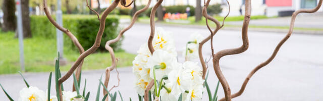 Kolmapäeval on sooja kuni 13 kraadi