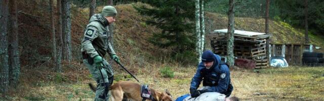 Rünnakud noa, harpuunpüssi, koerte ja tulirelvaga. Ametnikud saavad õiguse enesekaitsevahendeid kasutada