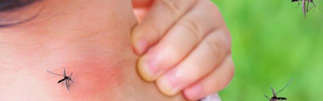 Sääski on sel kevadel erakordselt vähe, kuid rõõmustamiseks põhjust pole