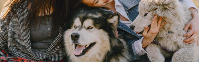 LEMMIKLOOMAPÄEV I Kuidas oma neljajalgse sõbra toidulaud sel puhul eriliseks teha?