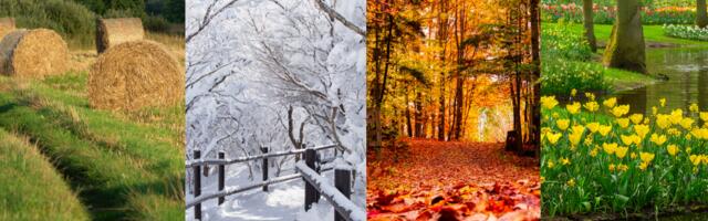 Vali üks maastikupilt ja saa teada, kuidas sa tegelikult mõtled, tunned ja reageerid