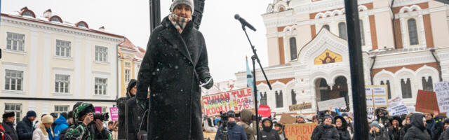Naiskomissarid ei saa ega tohigi olla naiste esindajad