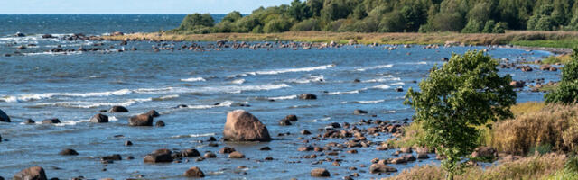 Uuring: taevaluuda näeb Eestis üha vähem
