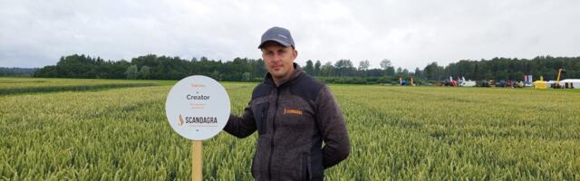 Kaarel Kallion: esimesed muljed talivilja põldudelt on head