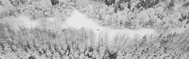 ЧИТАЧ ПИШЕ ⟩ Куно Сяде: нам слід готуватися до дуже маленького льодового періоду.