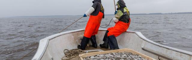Valitsus karmistab kalapüüki: aus konkurents pannakse tehnoloogia abil maksma