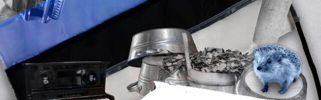 VIKTORIIN | Kas oled Õige Eestlane ja tunned Eesti asja ära?