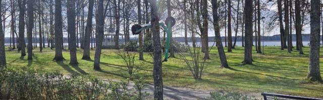 Новина: Скейтбордист катиться на дереві в Вирумаа