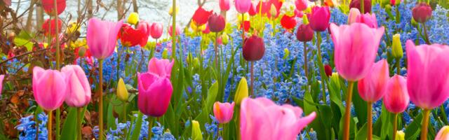 Päevahoroskoop : reede, 25. aprill