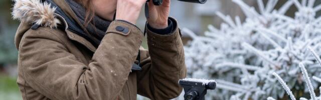 Talvine linnuvaatlus tõstis toonust