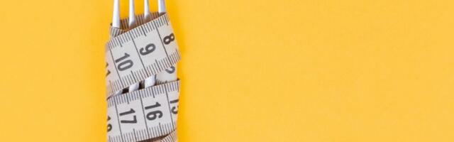 13 kõigi aegade parimat dieedinippi.