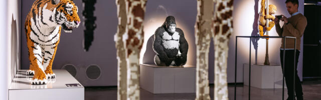 Galerii: eile toimus rahvusvahelise hittnäituse „Art of the Brick“ pidulik avamine