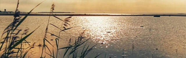 Soomes on ilm erakordselt soe – purunes üle 140-aastane soojarekord