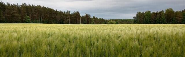Otse kell 10: riigikogu arutab põllumajanduse rolli Eesti majanduses