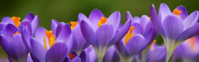 Päevahoroskoop : pühapäev, 13 . aprill