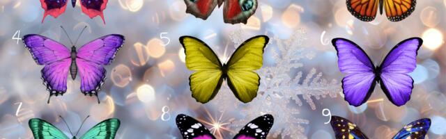 Vali üks liblikas ja loe, milline varjatud sõnum sinu alateadvus sulle saadab