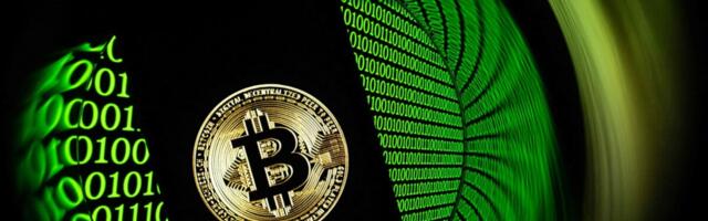 Bitcoini räsivad sisemised hädad. Krüptoturg kukkus madalaimale tasemele alates aprillist