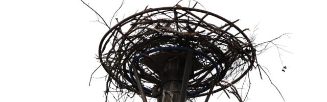 Võntküla kured said uue pesaposti