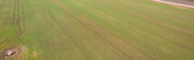 ÜLEVAADE | Mida me praeguseks öise drooniintsidendi kohta teame?