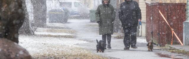 ILMAPROGNOOS | Nädala teises pooles sajab üle Eesti nii vihma, lörtsi kui ka lund