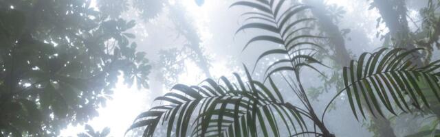 Лаурі Лест - Течії (2025)