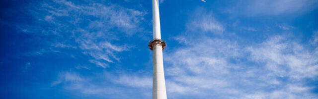 Мадісе: опозицію багатьох людей не можна зрівняти з переважним громадським інтересом.