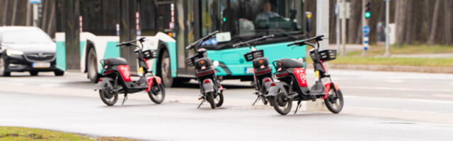 Helle-Moonika Helme: заступник мера Ярвану не впорався зі своєю роботою.