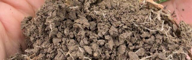 Piiriülene koostööprojekt „Tark Taimekasvatus“ tugevdab mulla tervist