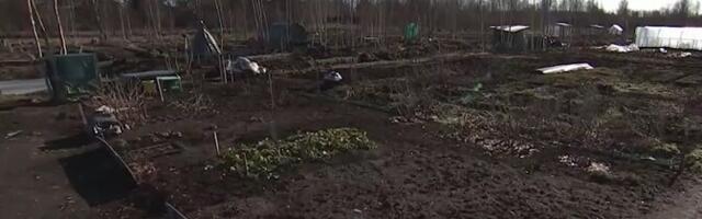 Tartus on kogukonnaaedade vastu huvi suur