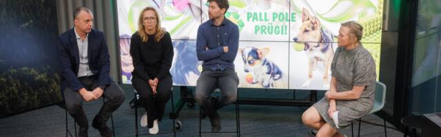 „Pall pole prügi“ on nelja aastaga kokku kogunud üle 200 000 tennisepalli