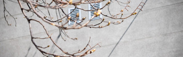 Kolmapäeval on sooja kuni 15 kraadi