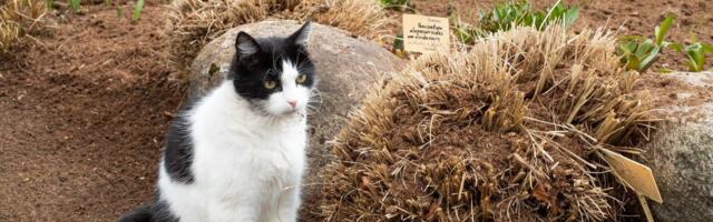 Свята наближаються: температура повітря піднімається до 27 градусів.