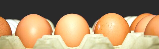 Tervest Soomest on kanamunad otsas