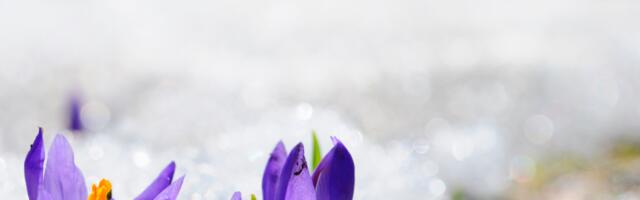 Päevahoroskoop : laupäev, 12. aprill