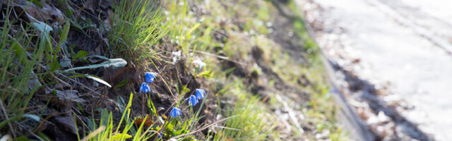 Neljapäeval sajab mitmel pool vihma