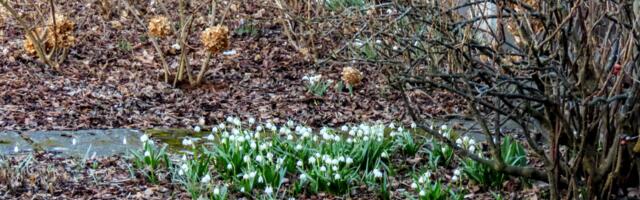 Tänavune märts oli väga soe ning päikeseline