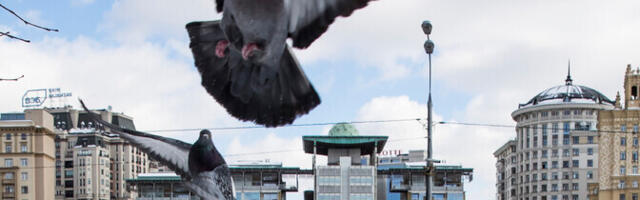 Venemaa saadab luuramises süüdistatud Briti diplomaadi riigist välja