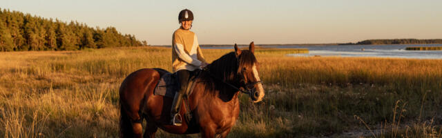 Uuring: Tere tulemast tagasi Eestisse!