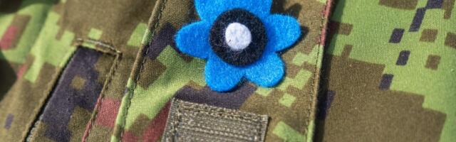 У районі Кяру відбувається екскурсія до блакитних лілій.