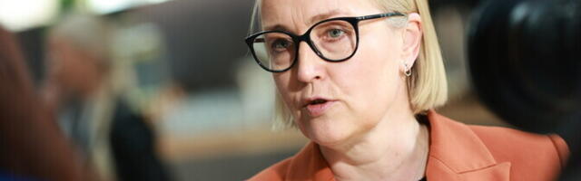 Kristina Kallas: Eesti valijat ei huvita Eesti 200 reiting