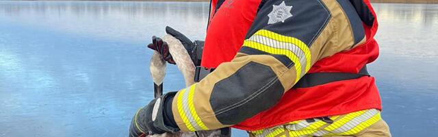 Luik oli Tamula järvel abitus seisundis, päästjad läksid appi