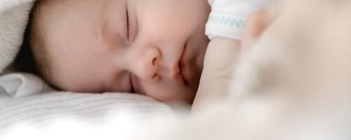 Novembris registreeriti 721 sündi