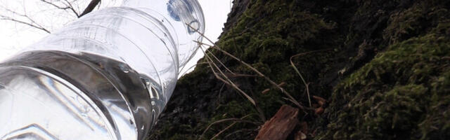 Vahtramahlasõpradel tasub juba purk valmis panna