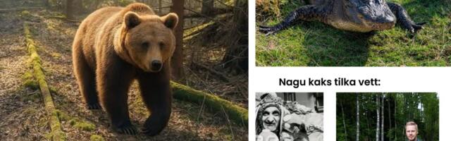 Vaata, mis nalju tegid viimsilased 1. aprillil sotsiaalmeedias