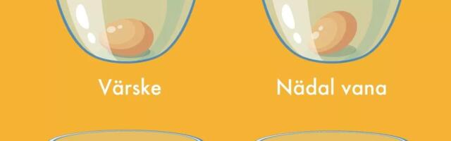 Нову свіжість можна визначити як...