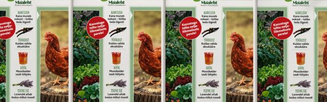 Targu Talita värske ajakiri on lettidel: osta ja osale magusa auhinnaga loosis!